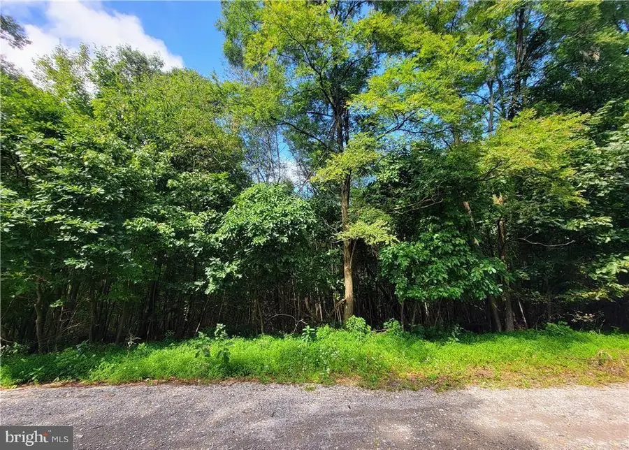 Whitetail Crossing Rd, Tamaqua, PA 18252 - #2