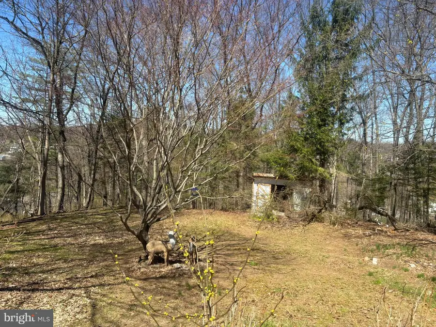 1956 3rd Ave, Pottsville, PA 17901 - #2