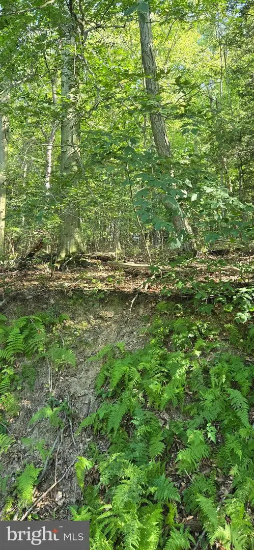 0 Ridge Rd, CUMBOLA, PA 17930