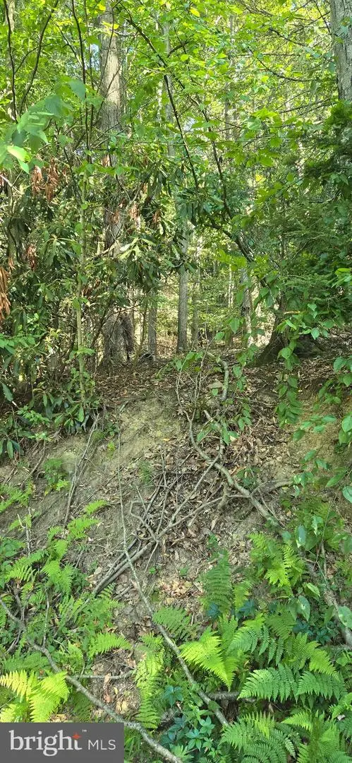 0 Ridge Rd, Cumbola, PA 17930 - #2