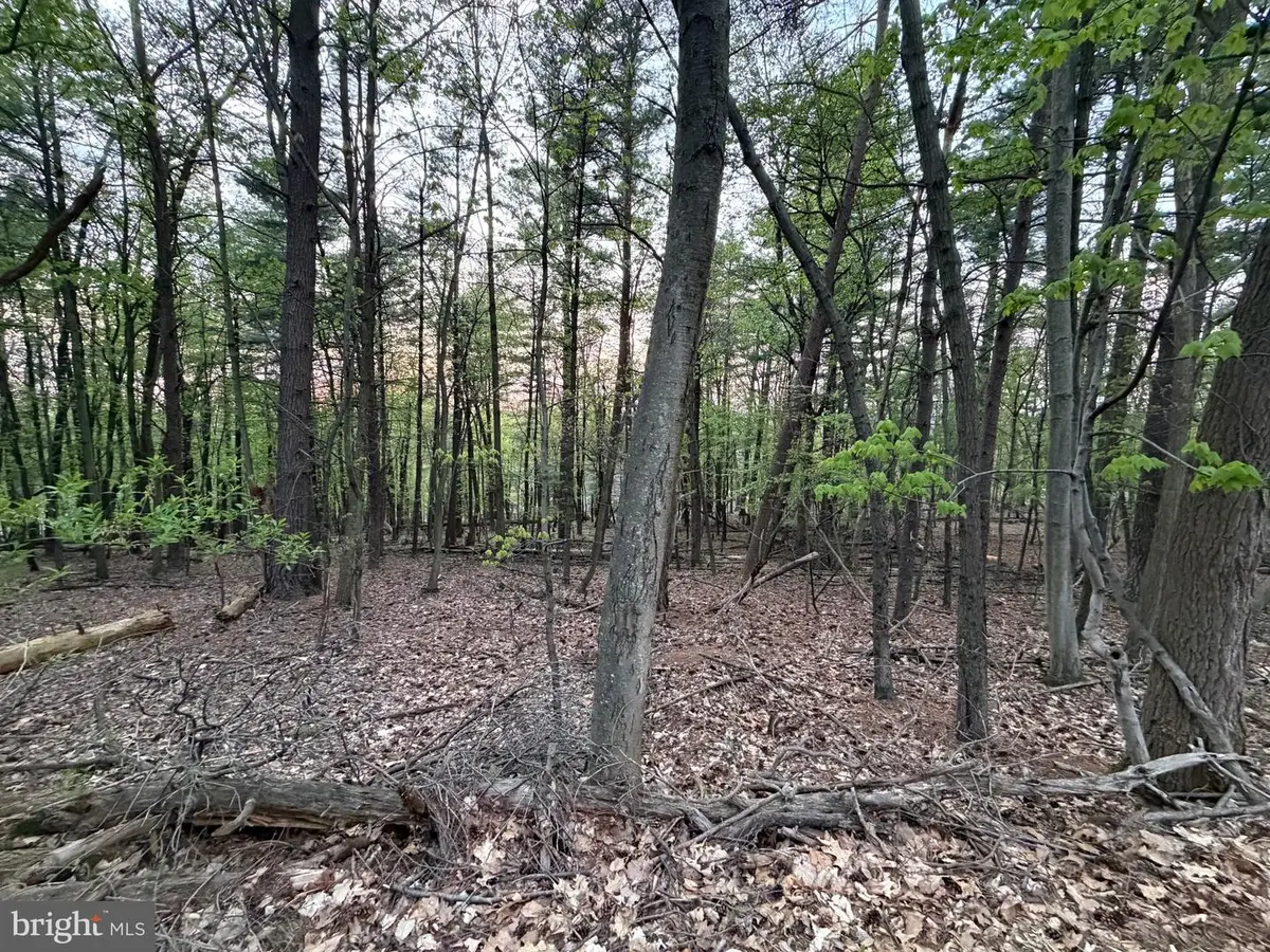 2394 Crow Foot Dr, Auburn, PA 17922 - #1