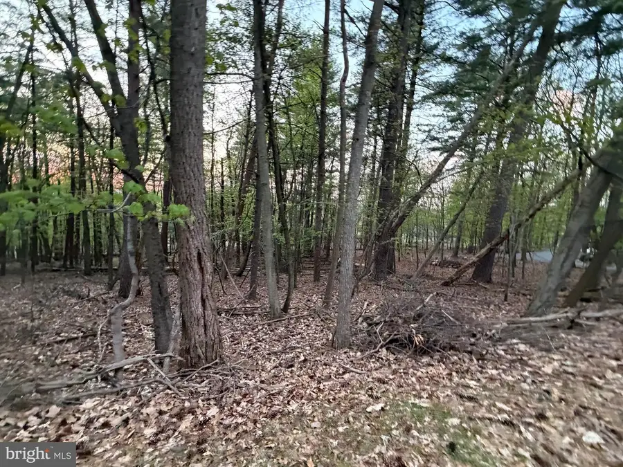 2394 Crow Foot Dr, Auburn, PA 17922 - #3