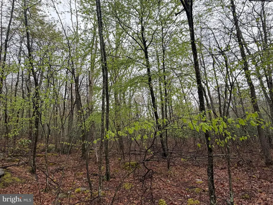 571 Haystack Drive, Zion Grove, PA 17985 - #3