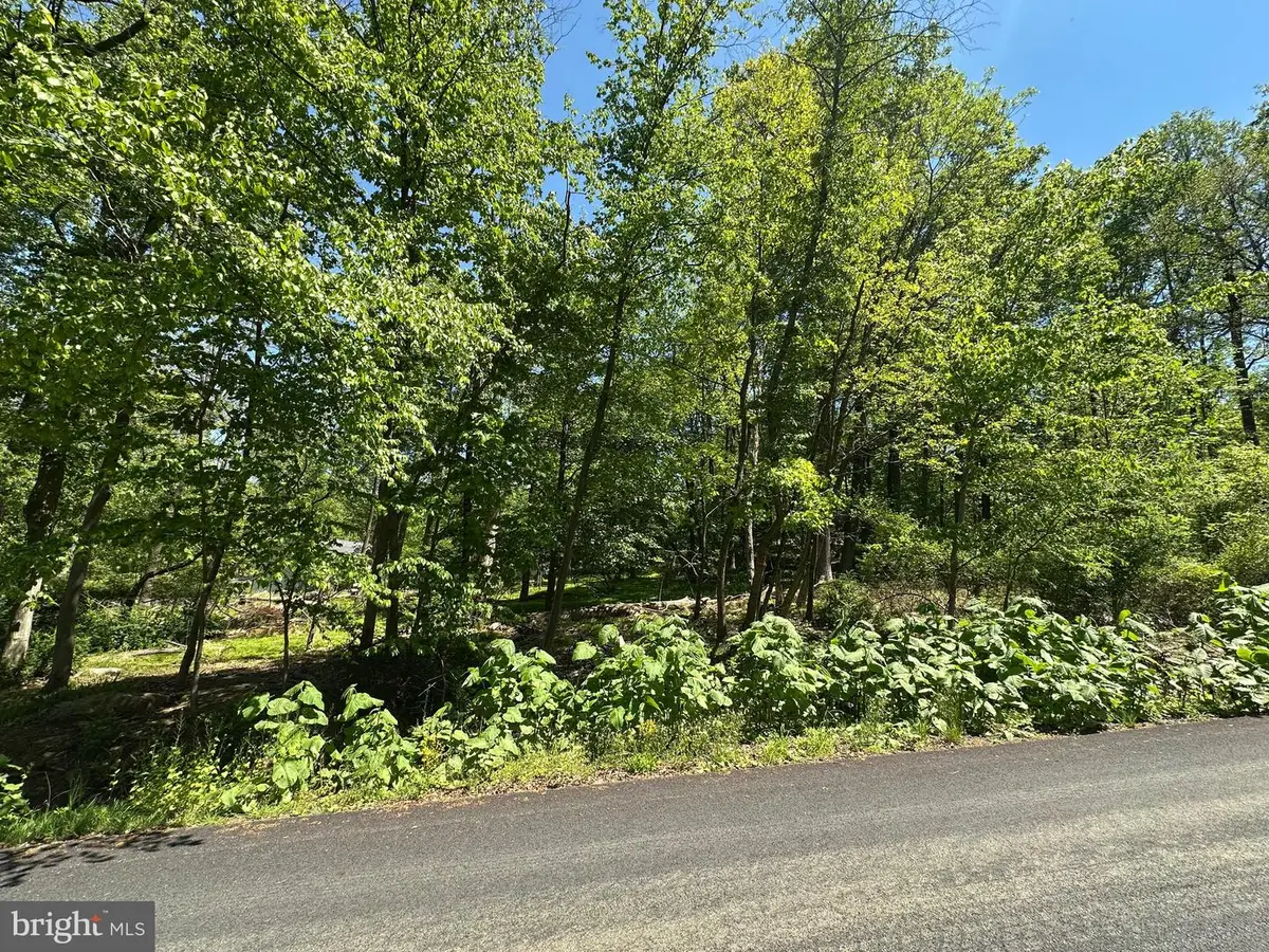 299 Hogan Dr, Auburn, PA 17922 - #1