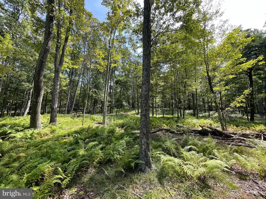 49 Alpine Dr, Zion Grove, PA 17985 - #2