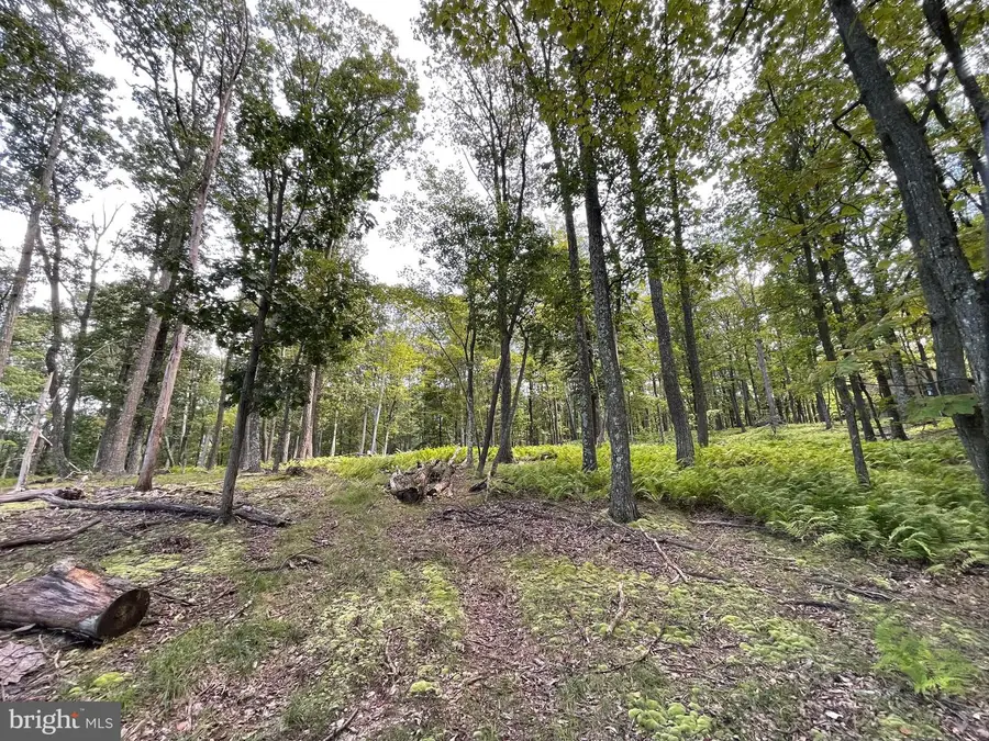 50 Alpine Dr, Zion Grove, PA 17985 - #2