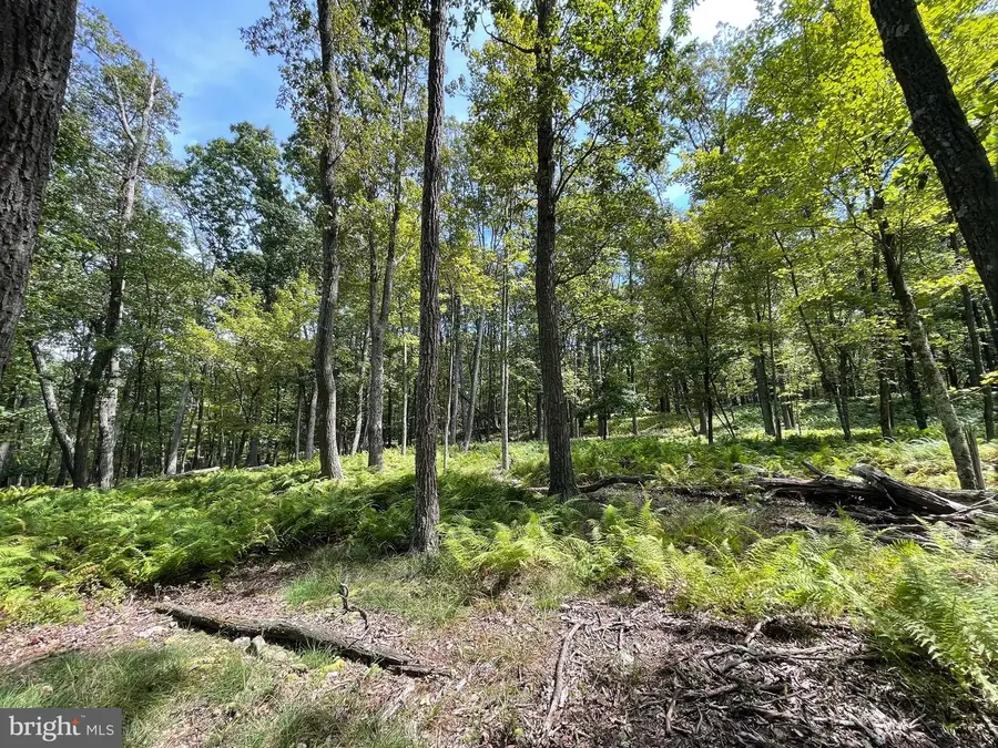 50 Alpine Dr, Zion Grove, PA 17985 - #3