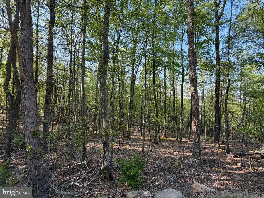 136 Spring Mountain Dr, Zion Grove, PA 17985 - #3