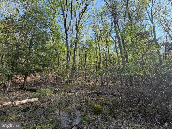 462 Spring Mountain Dr, ZION GROVE, PA 17985