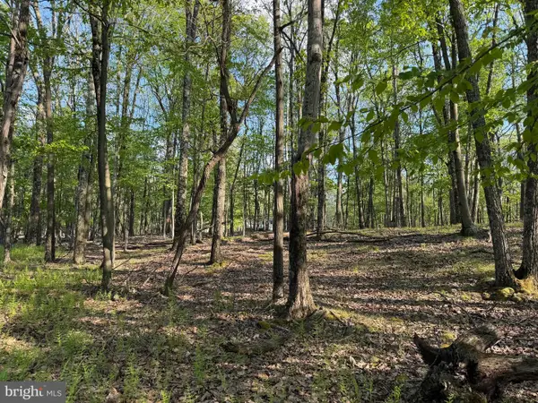 58 Jay Peak Lane, ZION GROVE, PA 17985