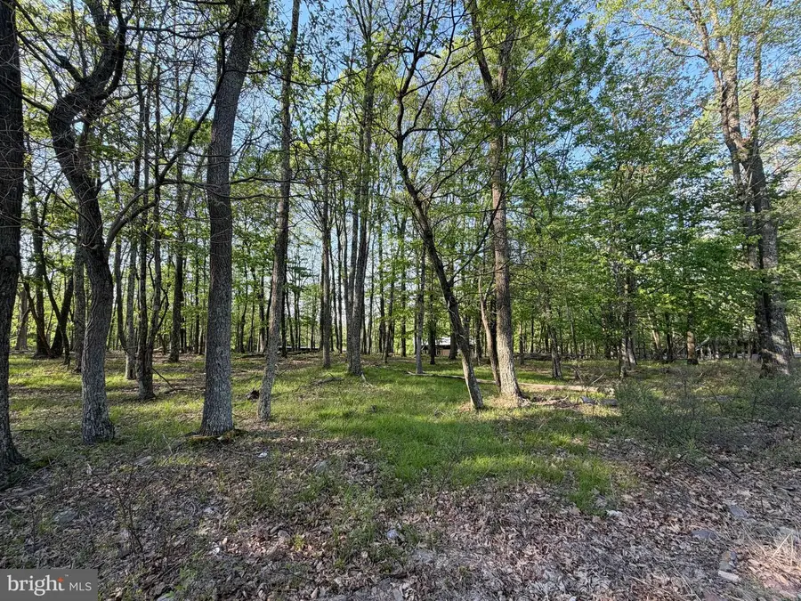 58 Jay Peak Lane, Zion Grove, PA 17985 - #2