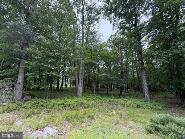 536 Haystack Dr, ZION GROVE, PA 17985