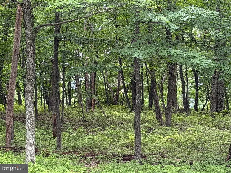 536 Haystack Dr, Zion Grove, PA 17985 - #3