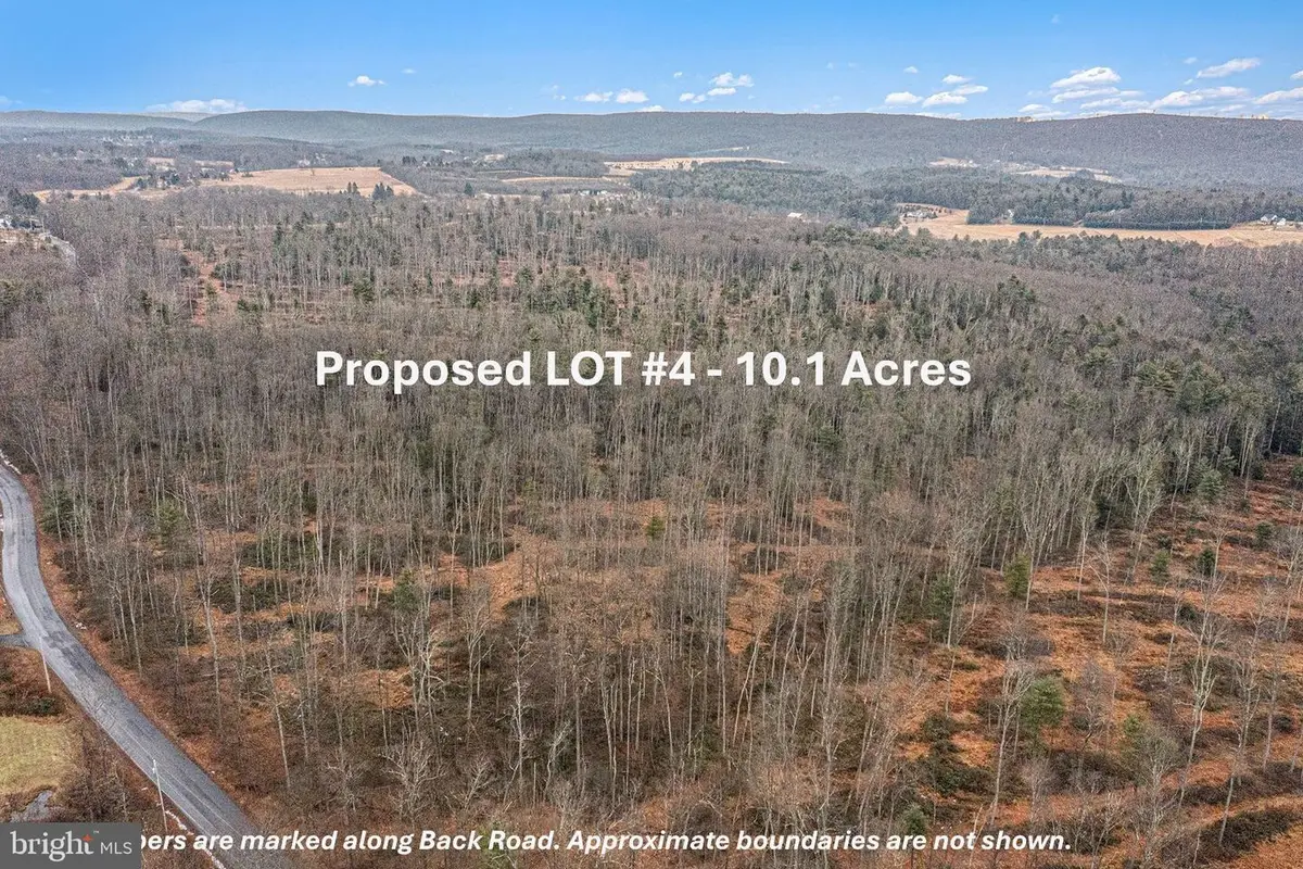 Lot 4 Back Rd S, Barnesville, PA 18214 - #1