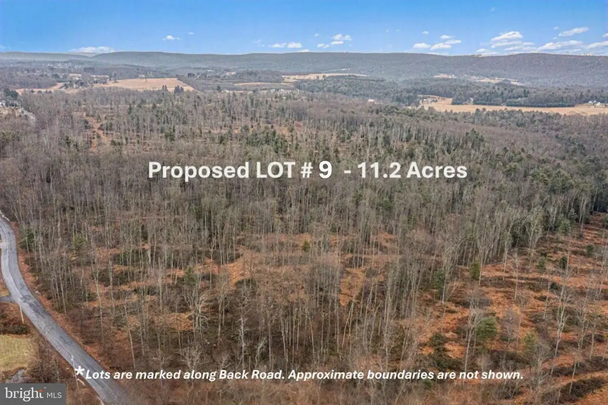 Lot 9 Back Rd S, Barnesville, PA 18214 - #1