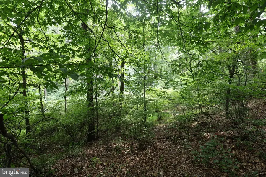 0 Shultz Rd, Pine Grove, PA 17963 - #3