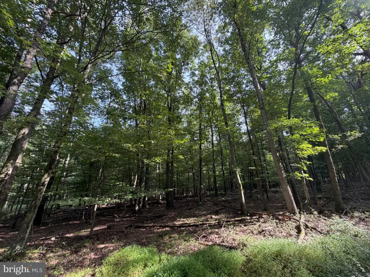 377 Davos Circle, Zion Grove, PA 17985 - #1
