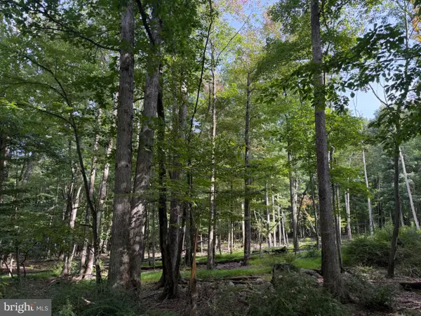 376 Davos Circle, ZION GROVE, PA 17985