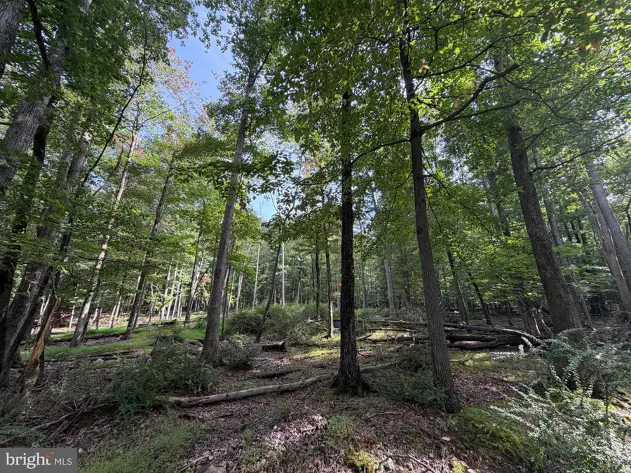 376 Davos Circle, Zion Grove, PA 17985 - #3
