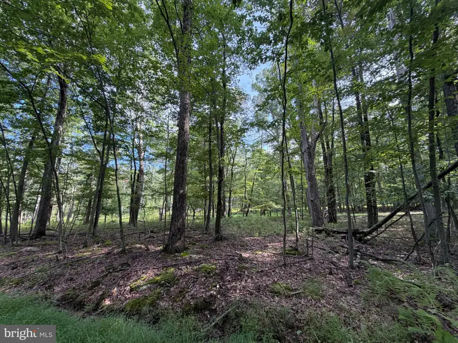 442 Haystack Drive, Zion Grove, PA 17985 - #3