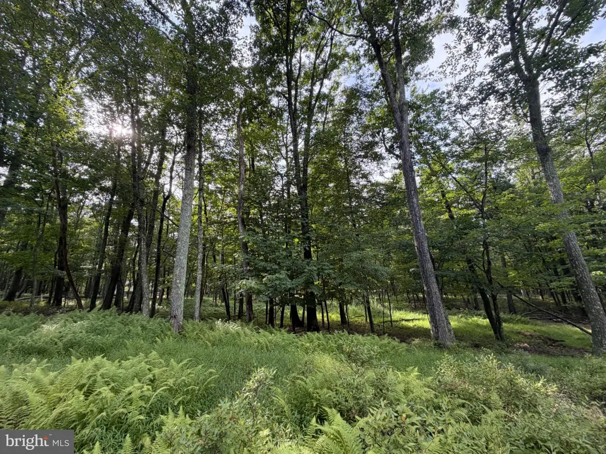 404 Davos Circle, Zion Grove, PA 17985 - #1
