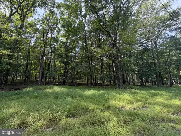 403 Davos Circle, ZION GROVE, PA 17985