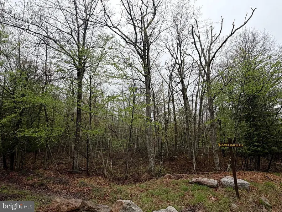 569 Haystack Drive, Zion Grove, PA 17985 - #2