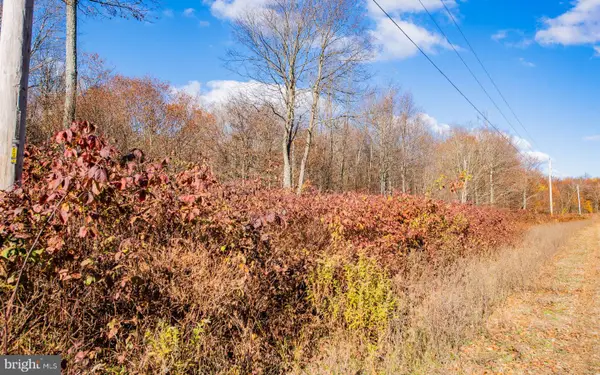 Parcel 030 Glory Ridge Rd, SHUNK, PA 17768