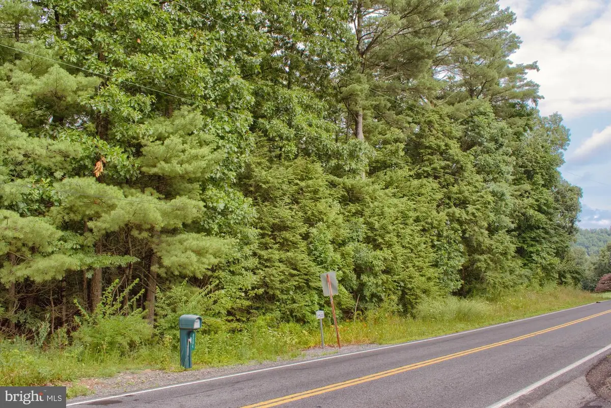 Parcel 01-03-021 Route 235, Beavertown, PA 17813 - #1
