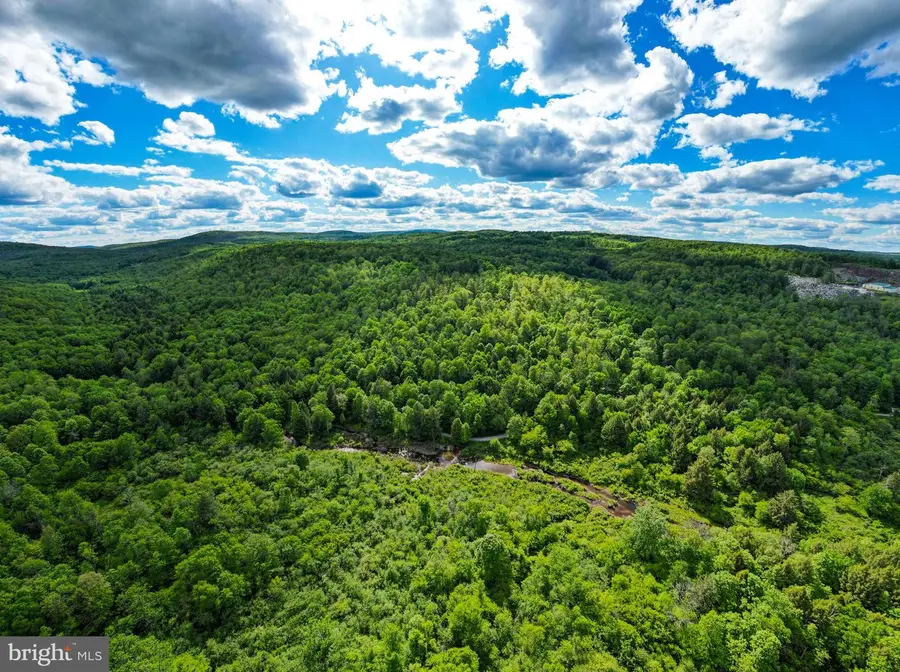 Crooked Creek Rd, Pleasant Mount, PA 18453 - #2