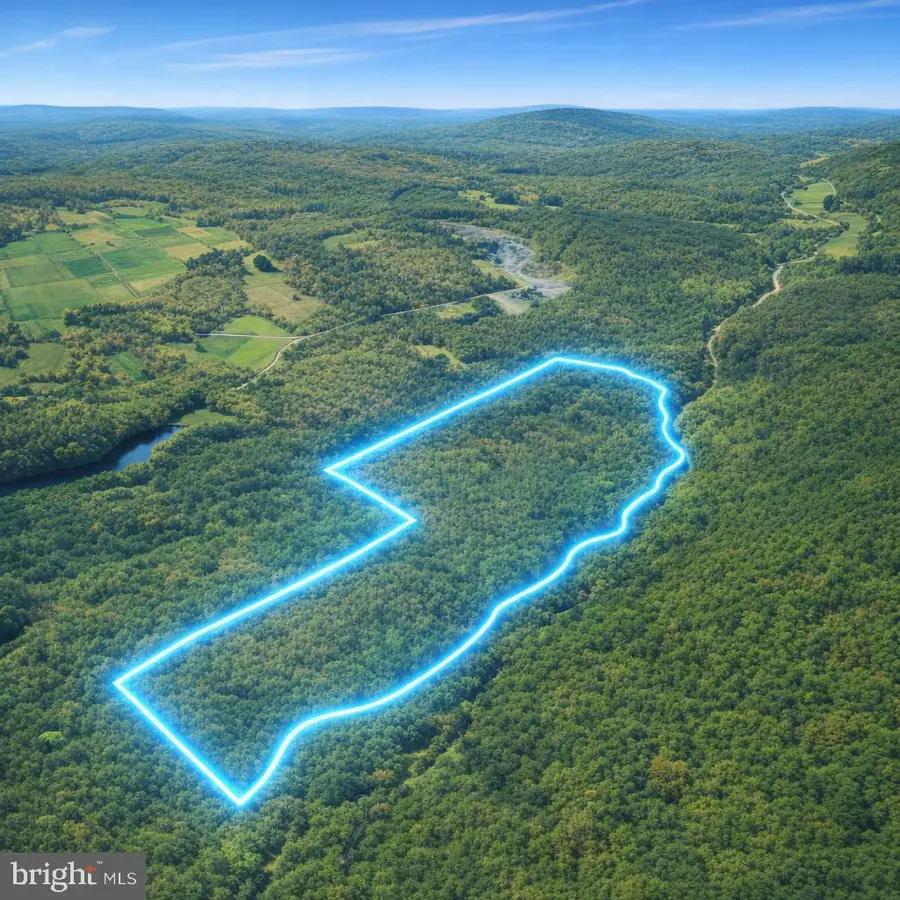 07 Crooked Creek Rd, Pleasant Mount, PA 18453 - #3