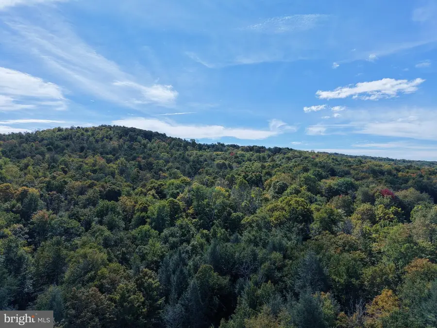 Fairmount Rd, Starrucca, PA 18462 - #2