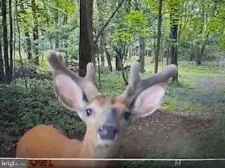 #1