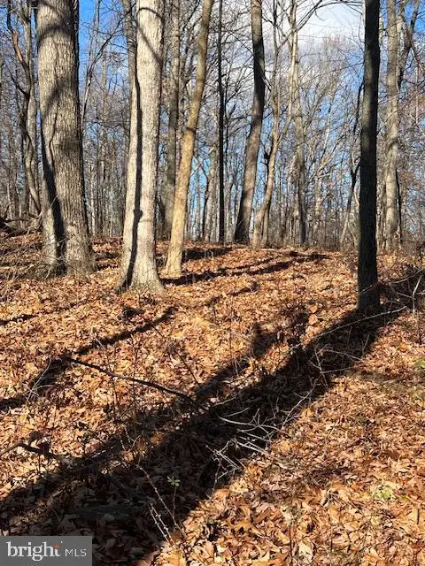 0 Five Forks Rd, Stewartstown, PA 17363 - Image #1