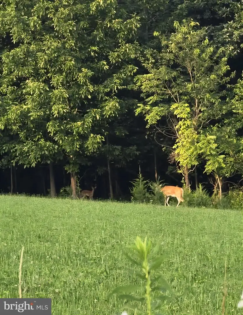 2071 Burkholder Rd, Red Lion, PA 17356 - Image #3