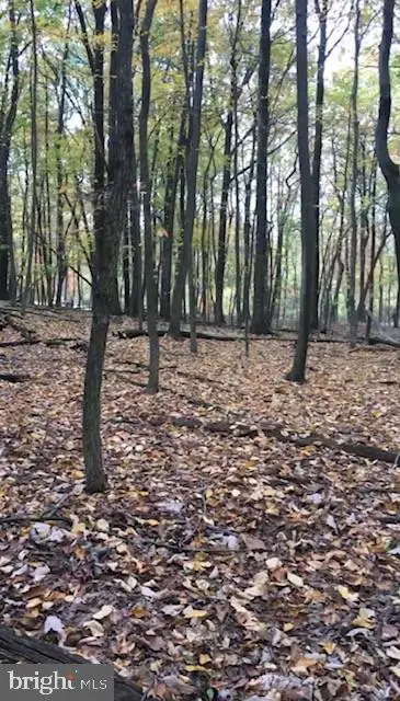 1490 Tower Rd, York, PA 17406 - #1