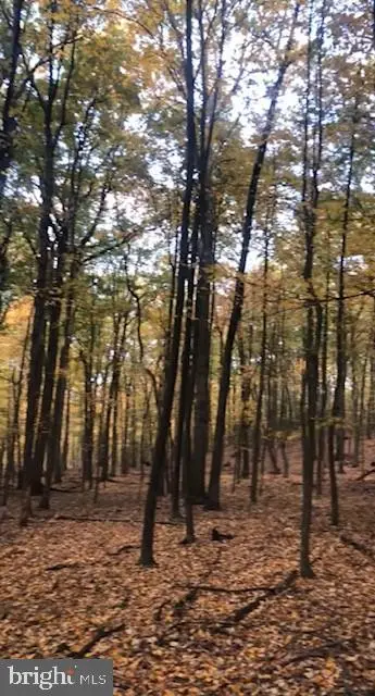 1490 Tower Rd, York, PA 17406 - #2