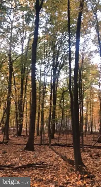 1490 Tower Rd, York, PA 17406 - #3