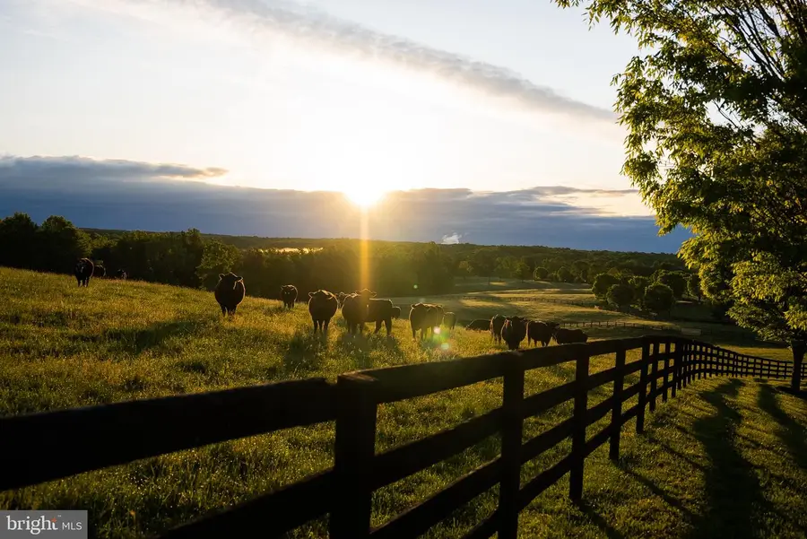 510 Mount Pleasant Farm Road, Scottsville, VA 24590 - #2