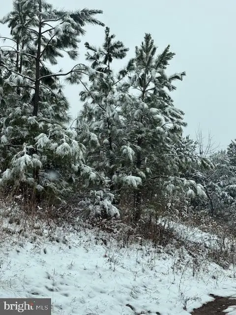 Mt Alto Rd, Esmont, VA 22937 - Image #2