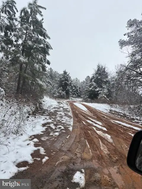 Mt Alto Rd, Esmont, VA 22937 - Image #3