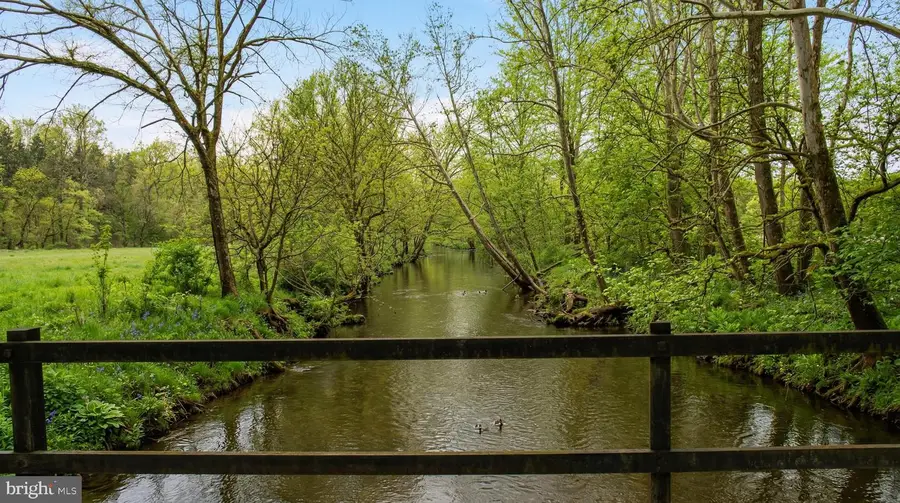 845 Raccoon Ridge Rd, Scottsville, VA 24590 - #3