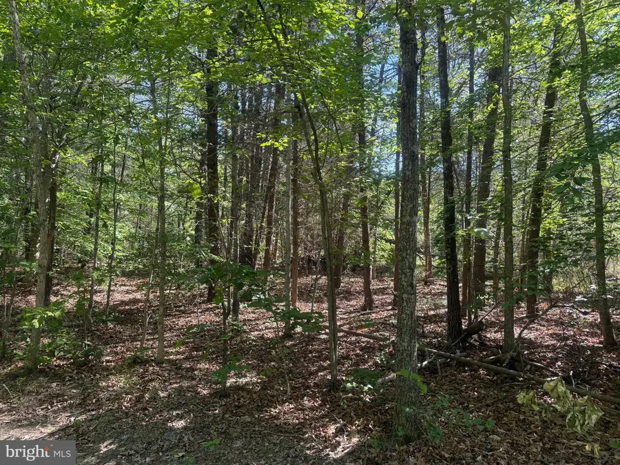 Sweetwater Way, Keswick, VA 22947 - #3