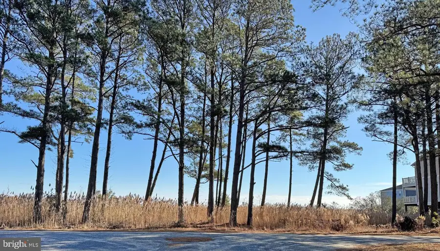 Lot 720 Castaway Dr, Greenbackville, VA 23356 - Image #2