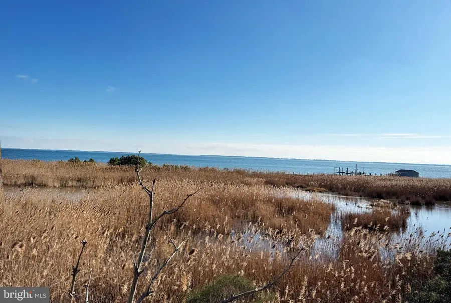 Lot 720 Castaway Dr, Greenbackville, VA 23356 - Image #3