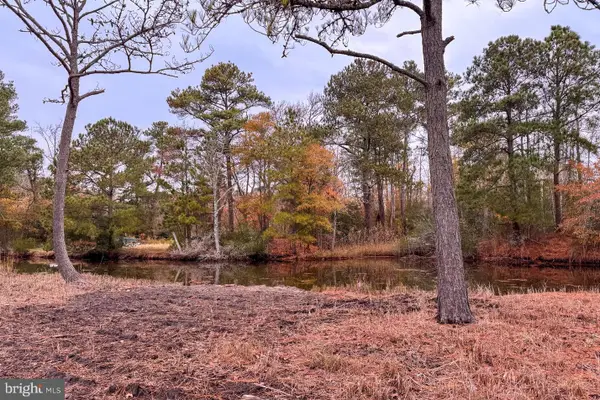 Lot 685 Bradley Ln, CHINCOTEAGUE ISLAND, VA 23336