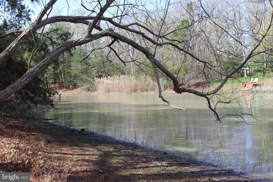 1856 Captains Corr, Greenbackville, VA 23356 - #3