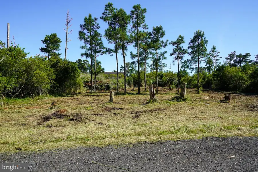 Lot 19e Oak Dr, Chincoteague Island, VA 23336 - #2