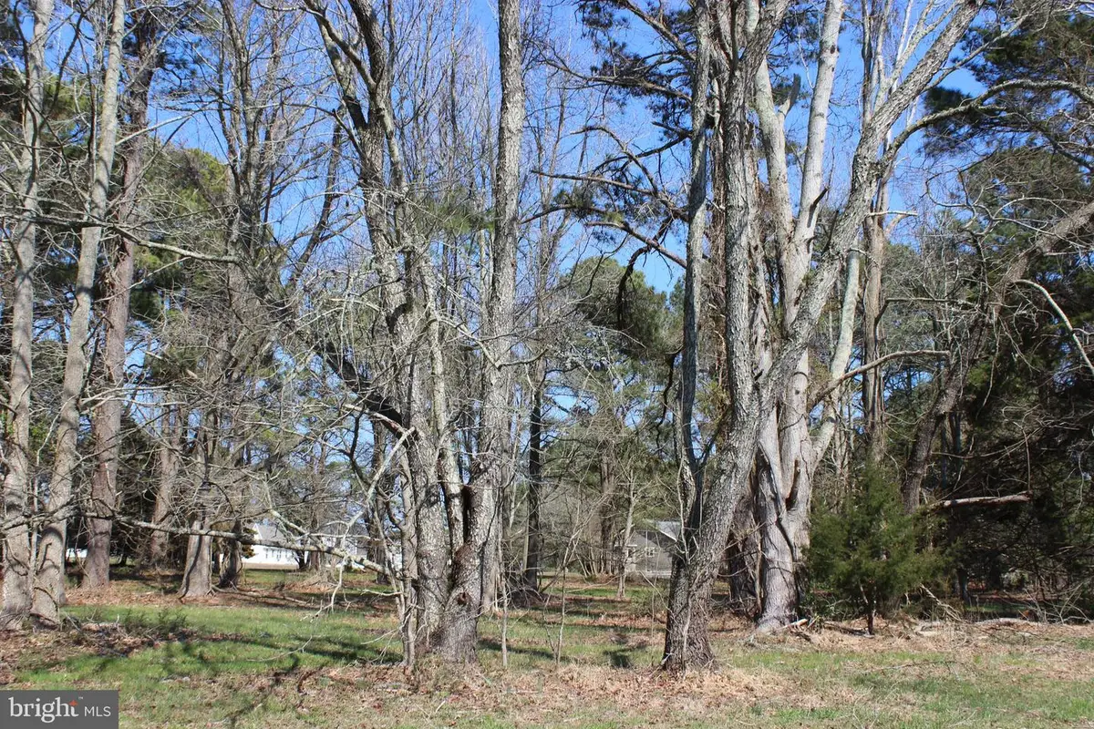 134 Neptune Dr, Greenbackville, VA 23356 - #1