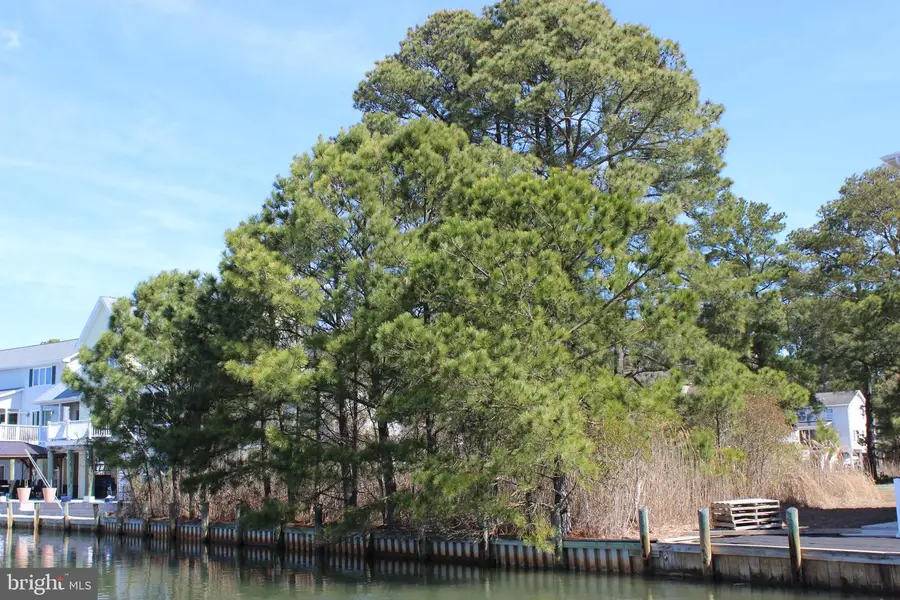 1213 Salty Way, Greenbackville, VA 23356 - #2